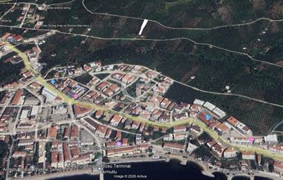 CB CLASS SATILIK KADASTRO YOLU MEVCUT ZEYTİNLİK YALOVA ARMUTLU