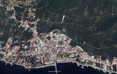 CB CLASS SATILIK KADASTRO YOLU MEVCUT ZEYTİNLİK YALOVA ARMUTLU