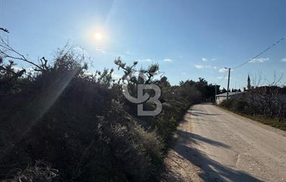 MUDANYA YAYLACIK KÖY MEYDANINDA ASFALT YOLA CEPHE