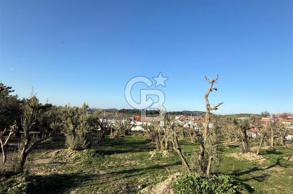 MUDANYA YAYLACIK KÖY MEYDANINDA ASFALT YOLA CEPHE