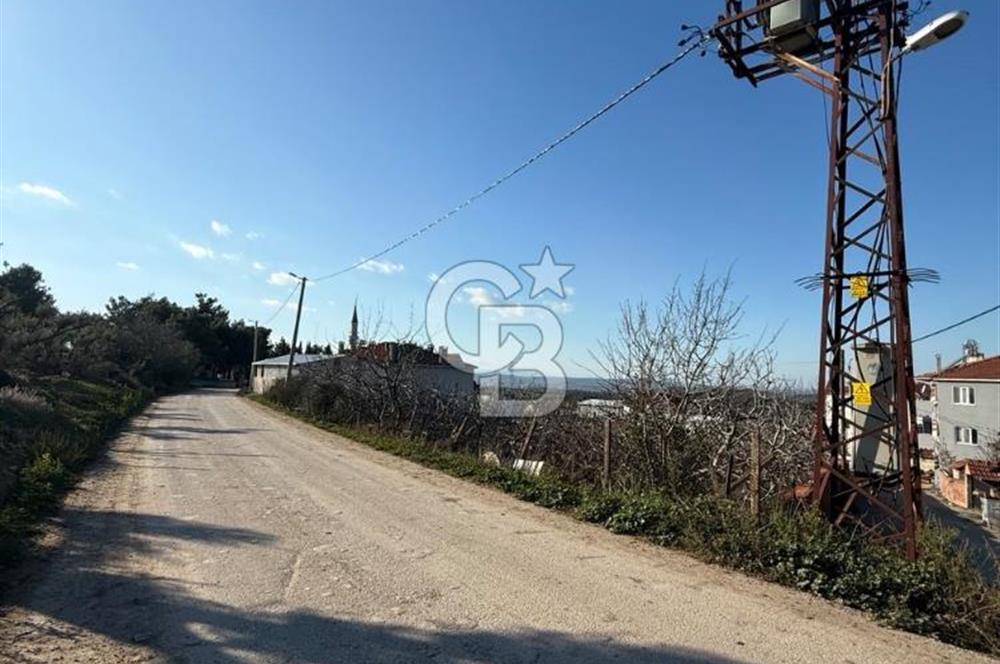 MUDANYA YAYLACIK KÖY MEYDANINDA ASFALT YOLA CEPHE