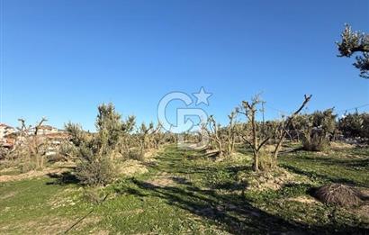 MUDANYA YAYLACIK KÖY MEYDANINDA ASFALT YOLA CEPHE