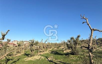 MUDANYA YAYLACIK KÖY MEYDANINDA ASFALT YOLA CEPHE