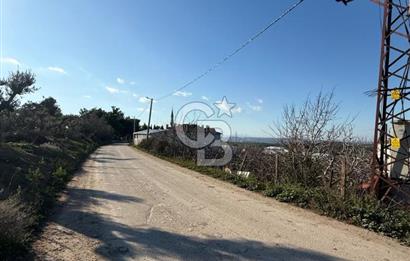 MUDANYA YAYLACIK KÖY MEYDANINDA ASFALT YOLA CEPHE