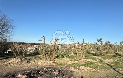 MUDANYA YAYLACIK KÖY MEYDANINDA ASFALT YOLA CEPHE