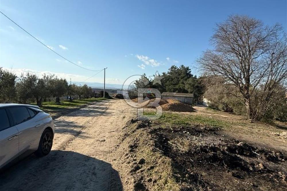 MUDANYA YAYLACIK KÖY MEYDANINDA ASFALT YOLA CEPHE