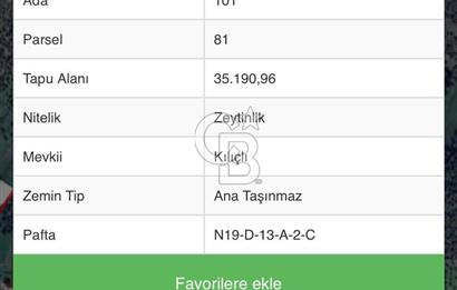 bodrumda 35.190 mt2 zeytinlik