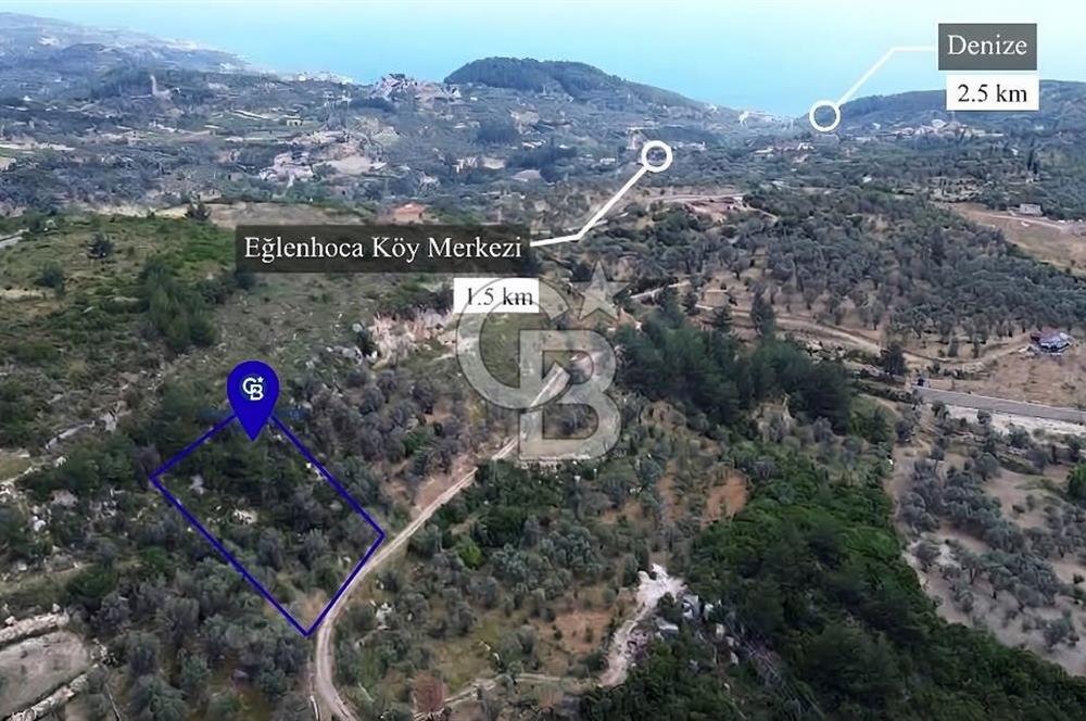 Karaburun Eğlenhoca'da Yola Cephe Göl Manzaralı Zeytinlik