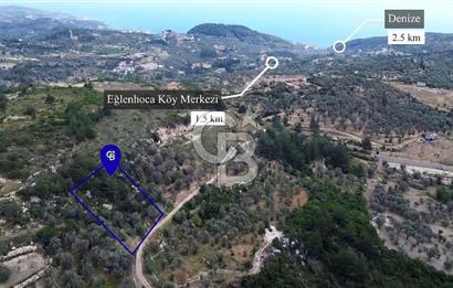 Karaburun Eğlenhoca'da Yola Cephe Göl Manzaralı Zeytinlik