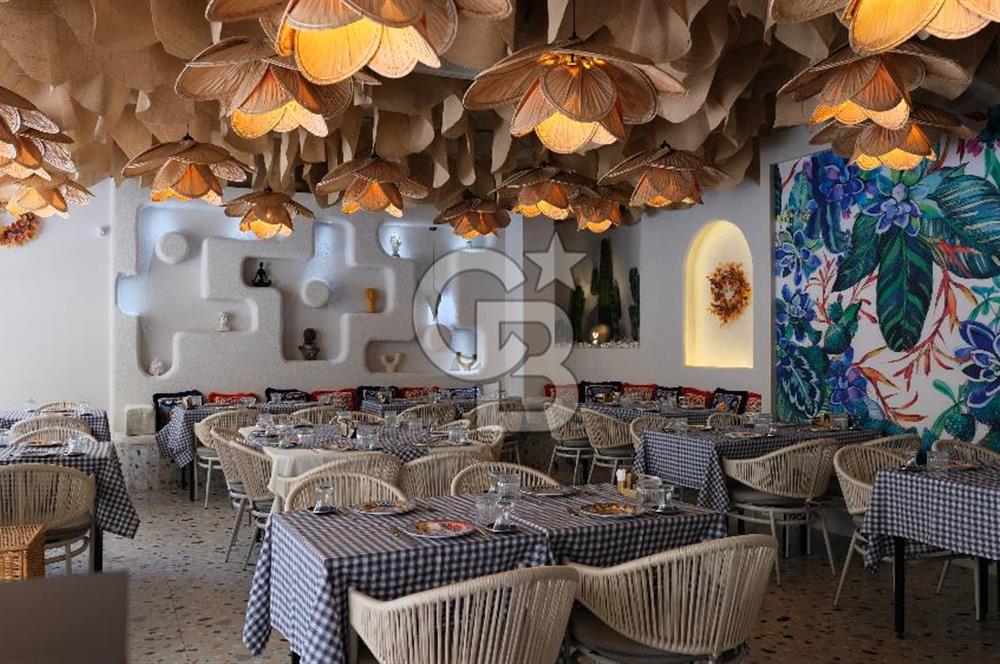 FENERBAHÇE KALAMIŞ’TA DEVREN KİRALIK RESTORAN & KAFE