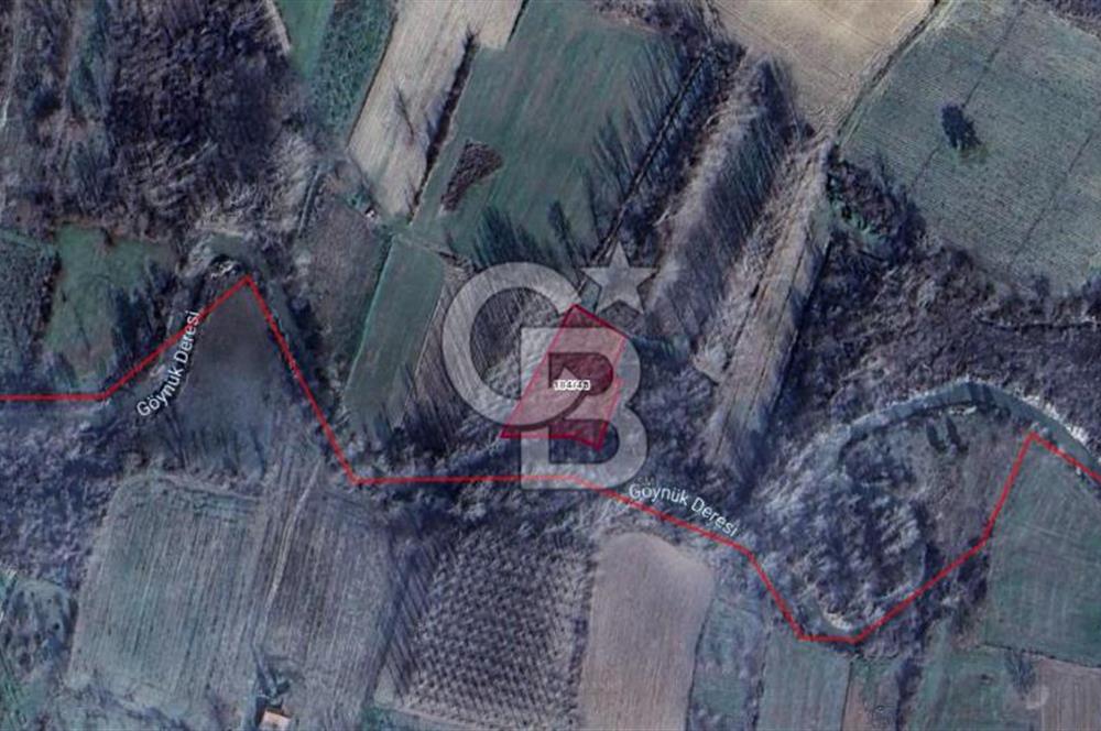 CB ENVOY TARAKLI ULUCAMİ'DE YOLA YAKIN 1600M² YATIRIMLIK BAHÇE