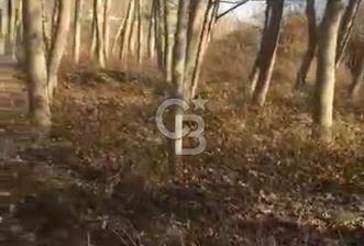 CB ENVOY TARAKLI ULUCAMİ'DE YOLA YAKIN 1600M² YATIRIMLIK BAHÇE - 2 - 373267