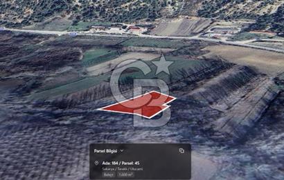 CB ENVOY TARAKLI ULUCAMİ'DE YOLA YAKIN 1600M² YATIRIMLIK BAHÇE