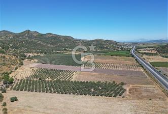 İZMİR-ÇANAKKALE KARAYOLU ÜZERİNDE SATILIK FIRSAT ARAZİ - 1 - 373284