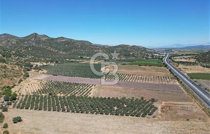 İZMİR-ÇANAKKALE KARAYOLU ÜZERİNDE SATILIK FIRSAT ARAZİ