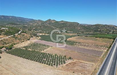 İZMİR-ÇANAKKALE KARAYOLU ÜZERİNDE SATILIK FIRSAT ARAZİ