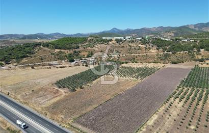 İZMİR-ÇANAKKALE KARAYOLU ÜZERİNDE SATILIK FIRSAT ARAZİ