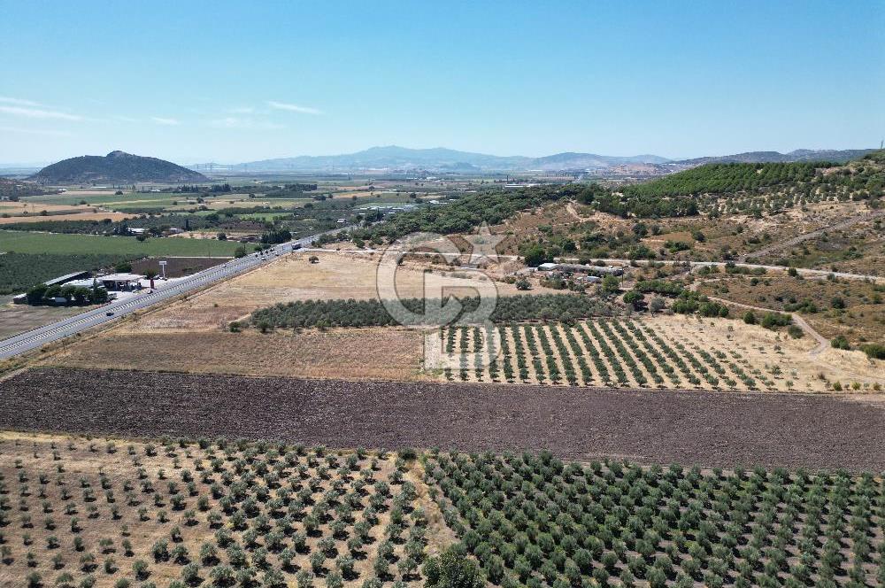 İZMİR-ÇANAKKALE KARAYOLU ÜZERİNDE SATILIK FIRSAT ARAZİ