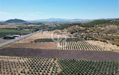 İZMİR-ÇANAKKALE KARAYOLU ÜZERİNDE SATILIK FIRSAT ARAZİ