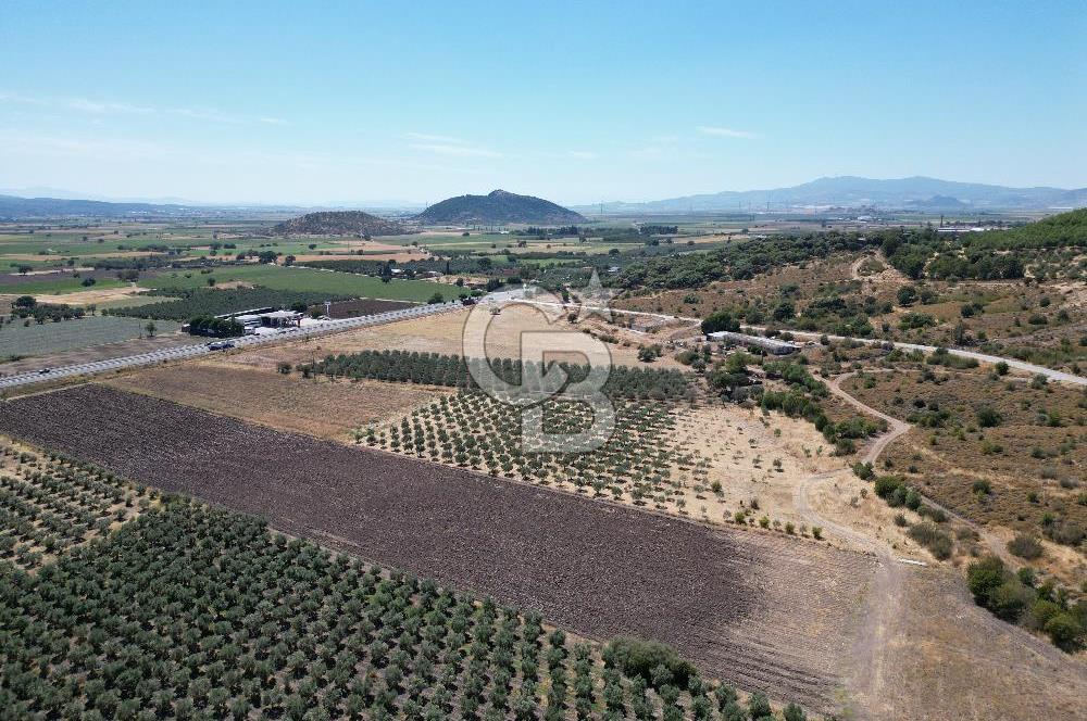 İZMİR-ÇANAKKALE KARAYOLU ÜZERİNDE SATILIK FIRSAT ARAZİ