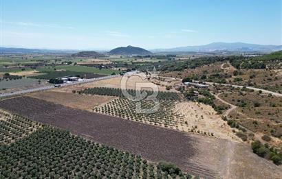 İZMİR-ÇANAKKALE KARAYOLU ÜZERİNDE SATILIK FIRSAT ARAZİ