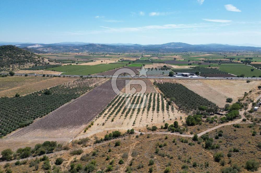 İZMİR-ÇANAKKALE KARAYOLU ÜZERİNDE SATILIK FIRSAT ARAZİ