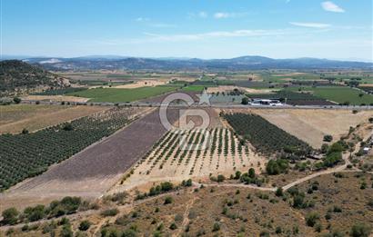 İZMİR-ÇANAKKALE KARAYOLU ÜZERİNDE SATILIK FIRSAT ARAZİ