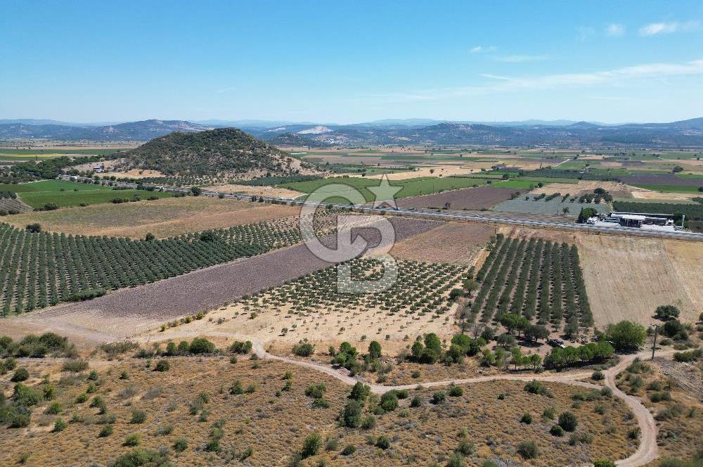 İZMİR-ÇANAKKALE KARAYOLU ÜZERİNDE SATILIK FIRSAT ARAZİ