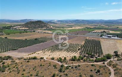 İZMİR-ÇANAKKALE KARAYOLU ÜZERİNDE SATILIK FIRSAT ARAZİ