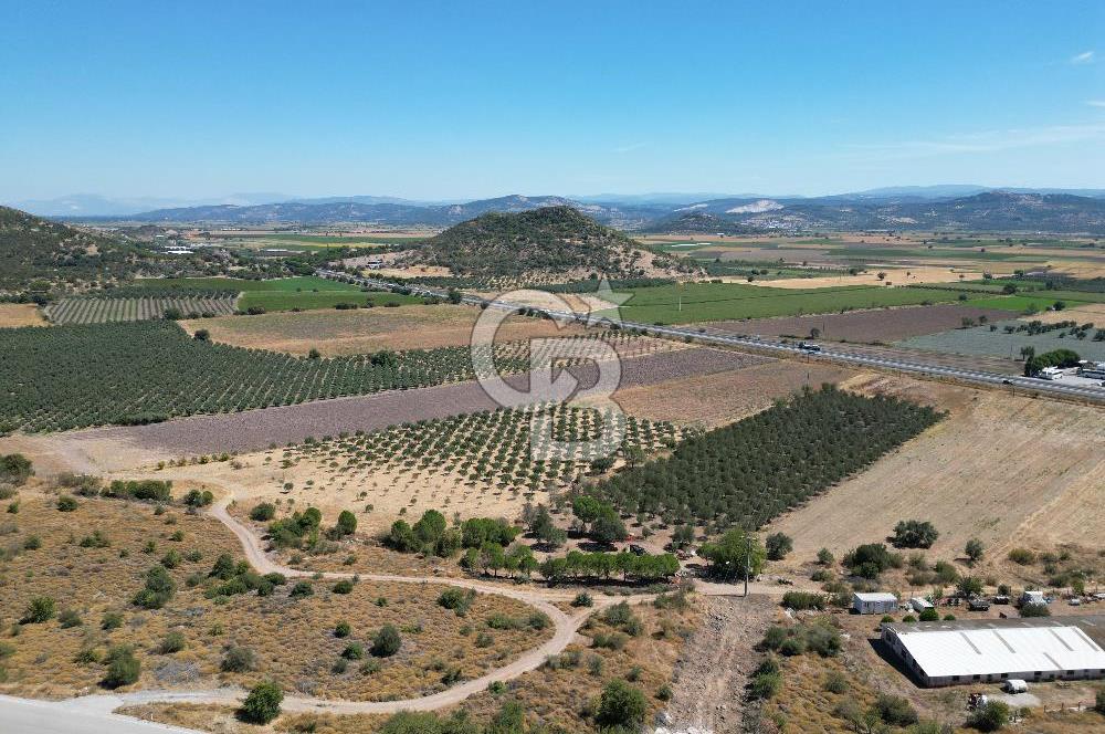 İZMİR-ÇANAKKALE KARAYOLU ÜZERİNDE SATILIK FIRSAT ARAZİ