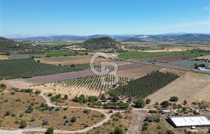 İZMİR-ÇANAKKALE KARAYOLU ÜZERİNDE SATILIK FIRSAT ARAZİ