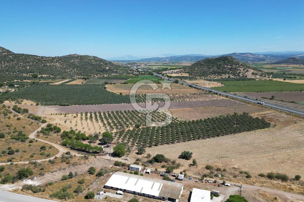 İZMİR-ÇANAKKALE KARAYOLU ÜZERİNDE SATILIK FIRSAT ARAZİ