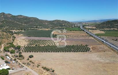 İZMİR-ÇANAKKALE KARAYOLU ÜZERİNDE SATILIK FIRSAT ARAZİ
