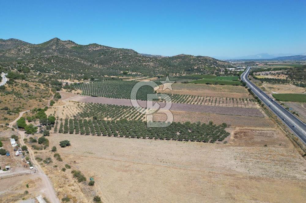 İZMİR-ÇANAKKALE KARAYOLU ÜZERİNDE SATILIK FIRSAT ARAZİ