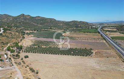 İZMİR-ÇANAKKALE KARAYOLU ÜZERİNDE SATILIK FIRSAT ARAZİ
