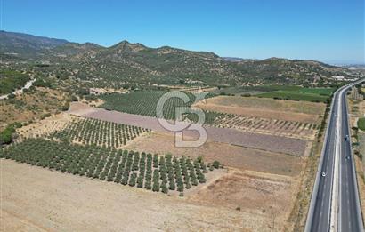 İZMİR-ÇANAKKALE KARAYOLU ÜZERİNDE SATILIK FIRSAT ARAZİ