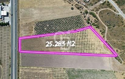 İZMİR-ÇANAKKALE KARAYOLU ÜZERİNDE SATILIK FIRSAT ARAZİ