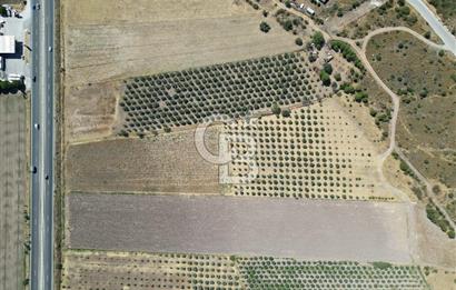 İZMİR-ÇANAKKALE KARAYOLU ÜZERİNDE SATILIK FIRSAT ARAZİ