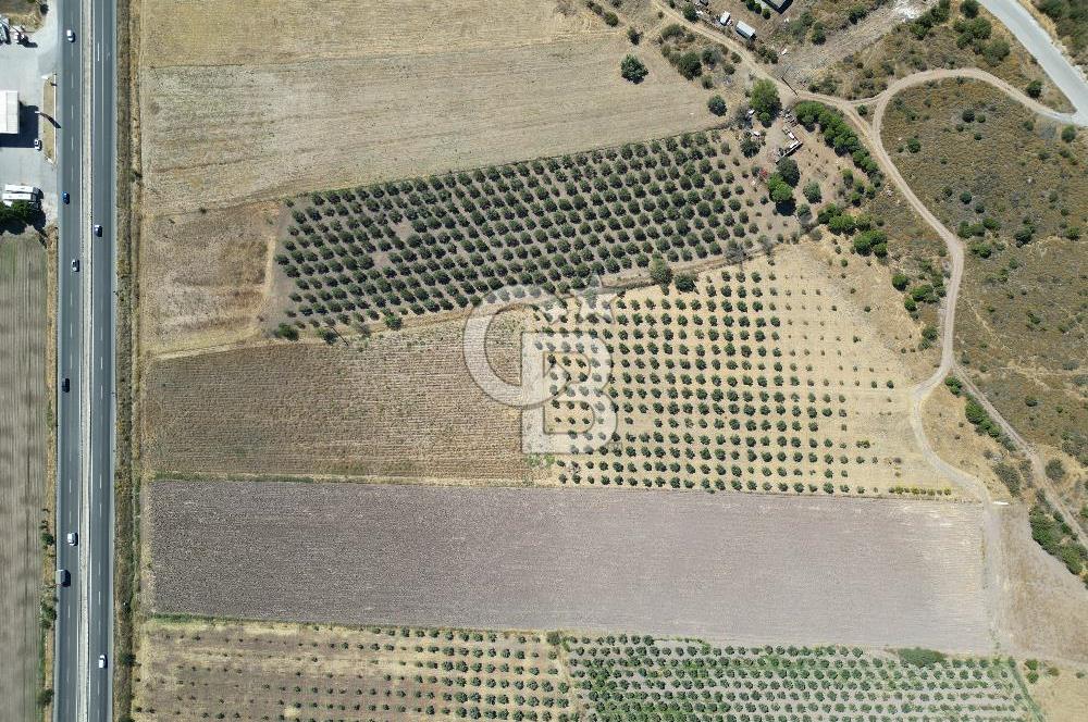 İZMİR-ÇANAKKALE KARAYOLU ÜZERİNDE SATILIK FIRSAT ARAZİ