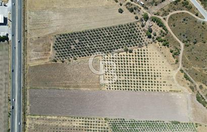 İZMİR-ÇANAKKALE KARAYOLU ÜZERİNDE SATILIK FIRSAT ARAZİ