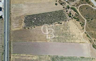 İZMİR-ÇANAKKALE KARAYOLU ÜZERİNDE SATILIK FIRSAT ARAZİ