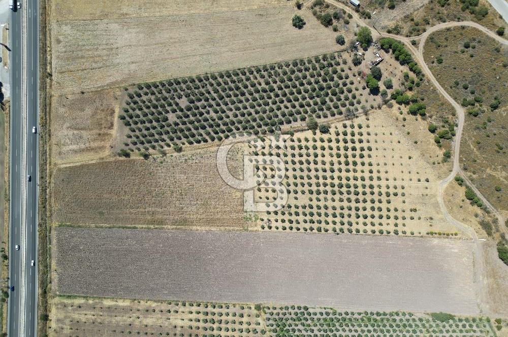İZMİR-ÇANAKKALE KARAYOLU ÜZERİNDE SATILIK FIRSAT ARAZİ