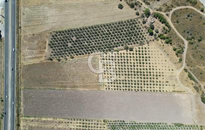 İZMİR-ÇANAKKALE KARAYOLU ÜZERİNDE SATILIK FIRSAT ARAZİ