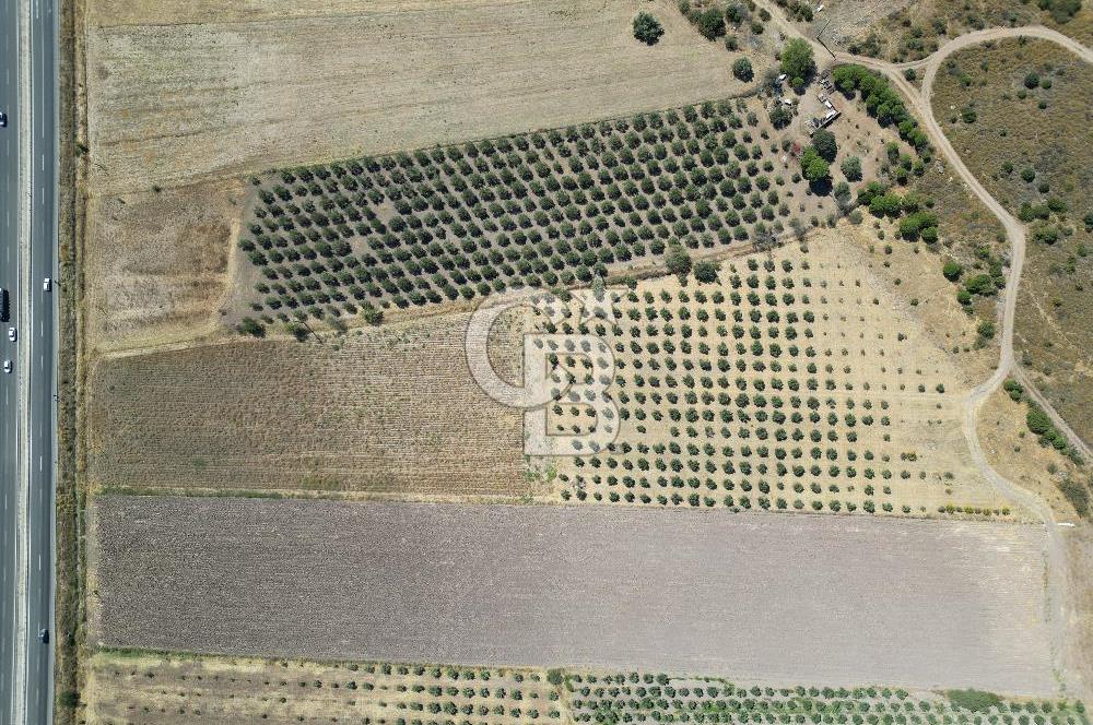 İZMİR-ÇANAKKALE KARAYOLU ÜZERİNDE SATILIK FIRSAT ARAZİ