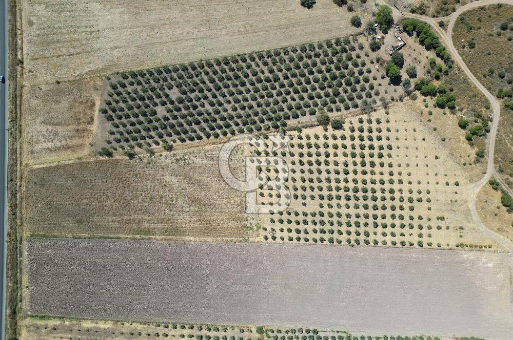 İZMİR-ÇANAKKALE KARAYOLU ÜZERİNDE SATILIK FIRSAT ARAZİ