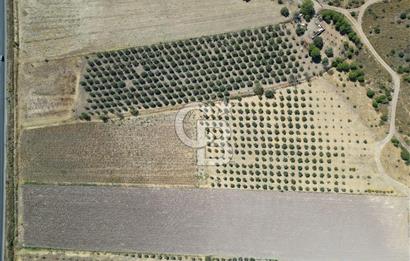 İZMİR-ÇANAKKALE KARAYOLU ÜZERİNDE SATILIK FIRSAT ARAZİ