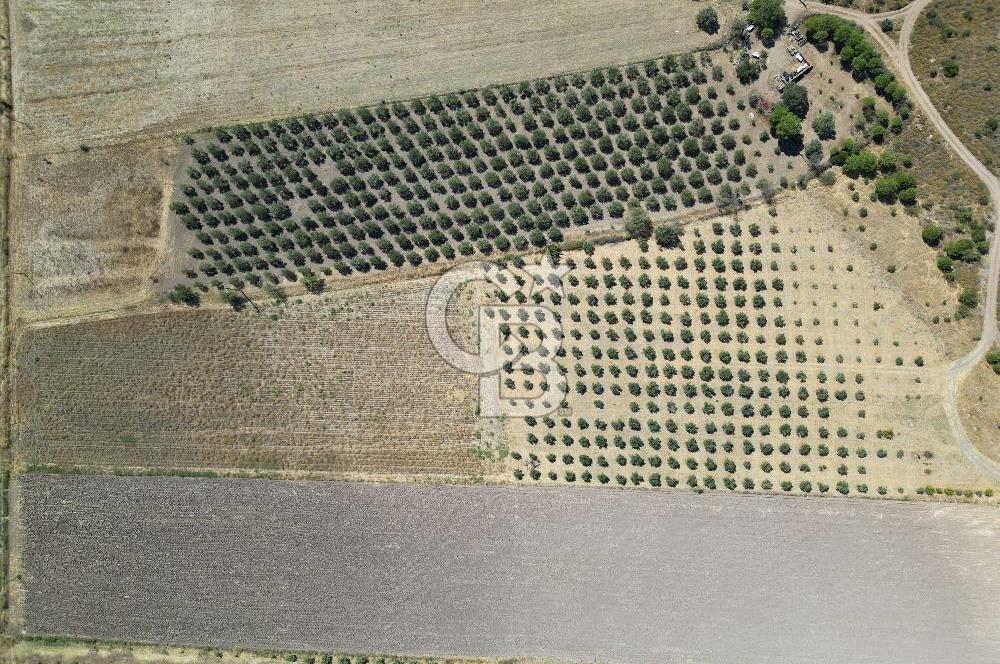 İZMİR-ÇANAKKALE KARAYOLU ÜZERİNDE SATILIK FIRSAT ARAZİ