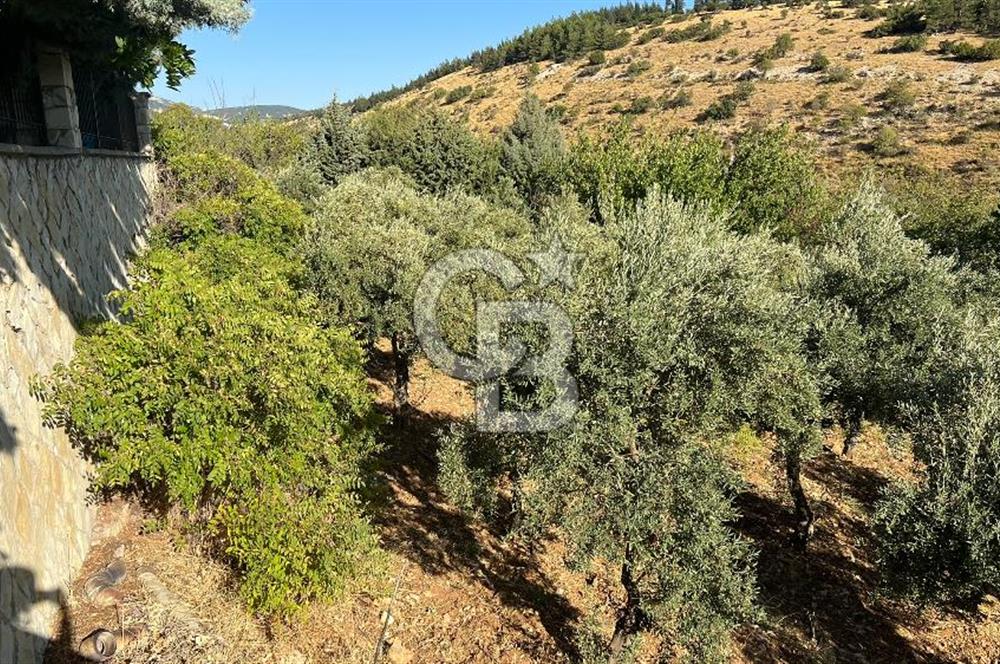 Pınarbaşı Kandil Mevkii'de 4 Dönüm Arsa ve Bağ Evi