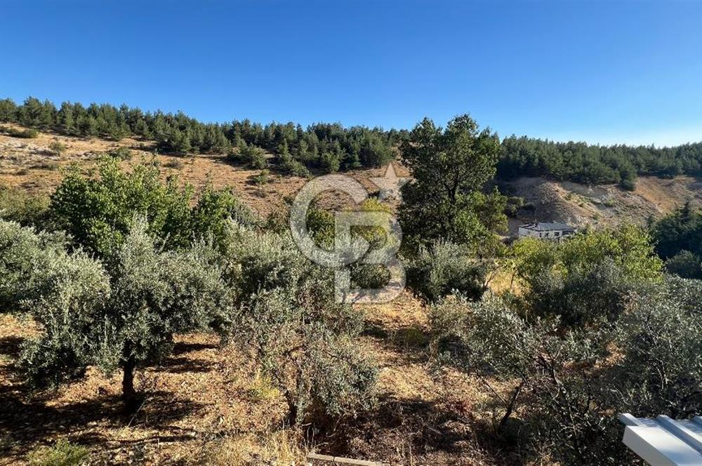 Pınarbaşı Kandil Mevkii'de 4 Dönüm Arsa ve Bağ Evi