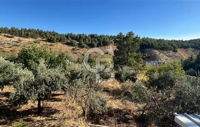 Pınarbaşı Kandil Mevkii'de 4 Dönüm Arsa ve Bağ Evi